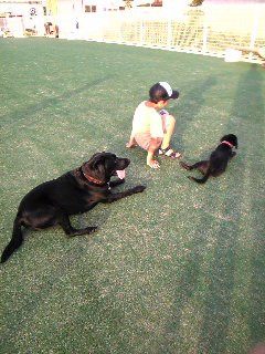 �߃P���Ȃ̂��`