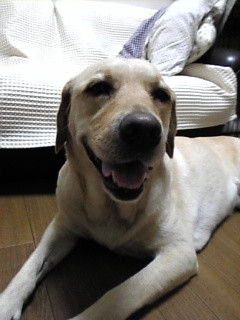 �����`��