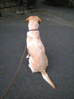 ���F�B��҂��Ă��