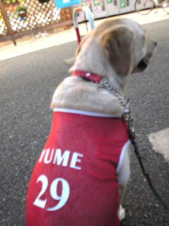 �X�[�p�[�̑O�ł�