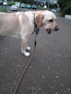 �����������I