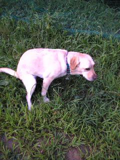 �E���E���͑��������D�݂ł�