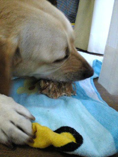 �����S��