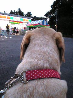 �A�C�X�c�t�����N�t���g�c