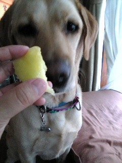 �������Ƀ�������