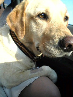 �������� ���݂ɍs���̂��`