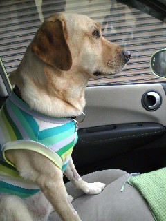 �������~�Y�A�\�r