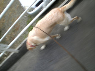 �L��T���Ă�̂��I