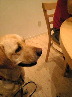 �����͕�̒a����