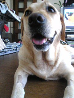 �����������炠���`�I