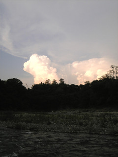 �ɂイ�ǂ�����