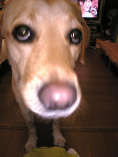 ����`�� ������