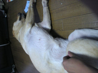 �}�b�T�[�W�^�C��