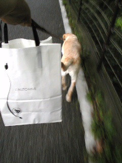 ���͂�����