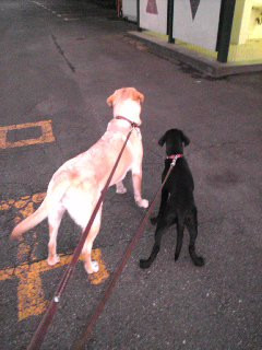 �z�B��A�Ӂ`�����Ƃ��U��