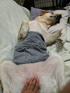 ���� �󂵂��I