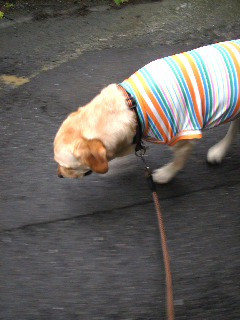 �������̒a����