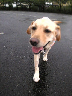 �J���~���ė����`