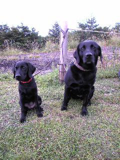 �匒���̉��������ł����I