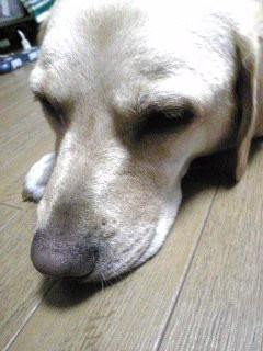 �������J���c