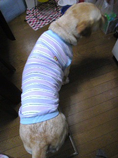 �����ł��c