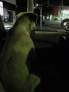 ��̃h���C�u