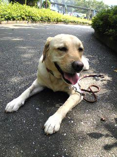 �������킟