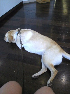 �a�@�ɗ�����