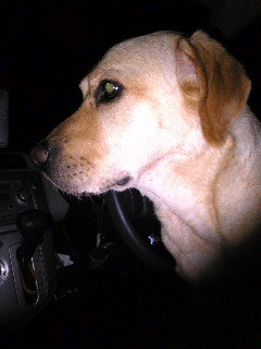 �S��݂����c