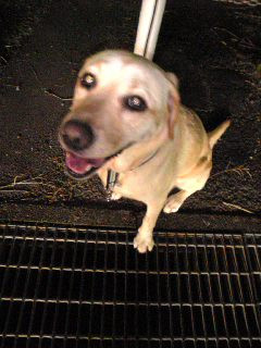 �҂��l�����c