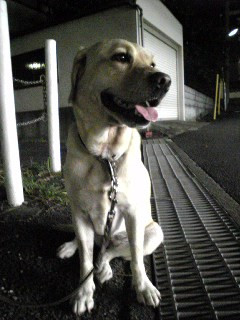 10�����҂��Ă�̂ɂ�