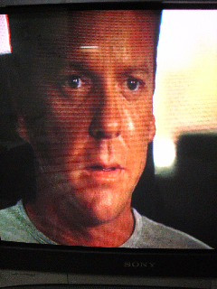 �ނɃ]�b�R��