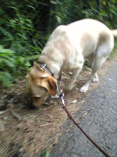 �@ �C��ނ����c