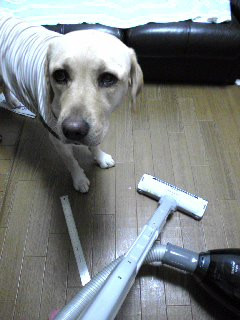 �|���@ ���₢��