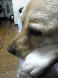 ���������c