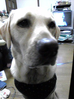 �^���Ȋ፷���̐�ɂ́c