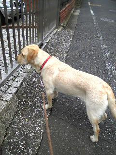 �Ӂ`�����҂��Ă܂�