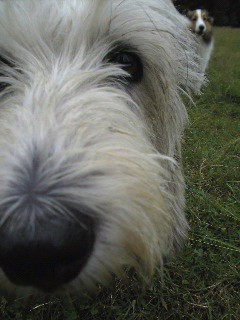 �h�A�b�v �}���V�F