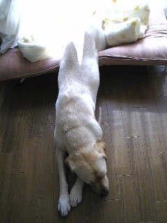 ���K������������