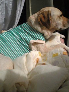 �������V�C��