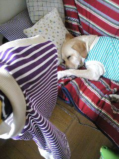 �������̐F�� ���Ăق����񂾂��ǂȂ�