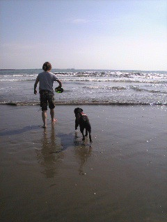 ���N�Ō�̐��V��