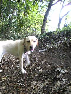 �y�����ˁ�