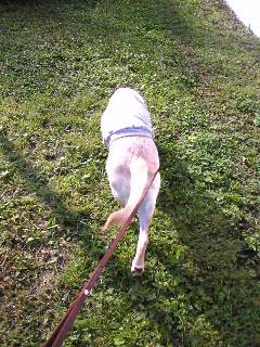 �����Ȃ�