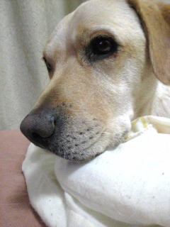 �N���N���I����