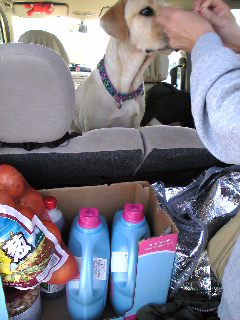 �R�X�g�R�`