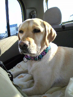 �҂������т�