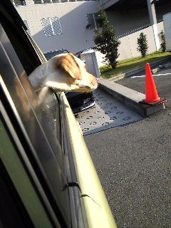 ���N���N�r