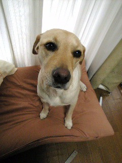 ���т��������̊�