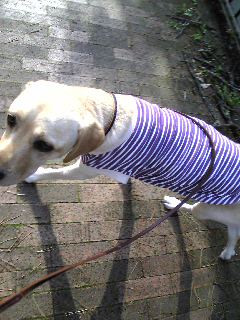 �U���U���`��